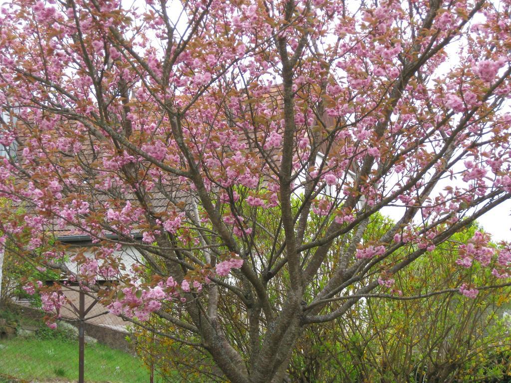 Aux coeurs de la vallée Fouchy Extérieur photo